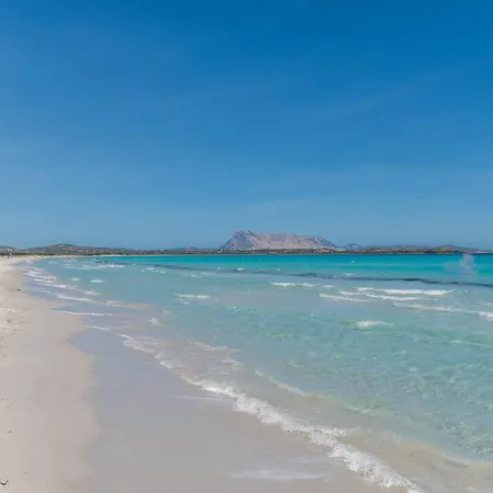 Oasi - Bilo 4 By Interhome San Teodoro (Sardinia)